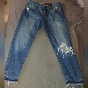 Women's Joes Jeans Ex Lover Boyfriend Ankle 28